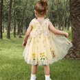 thumbnail image 1 of Diufon Toddler Baby Girl Princess Dress Summer Sleeveless Floral Embroidery Tulle Dresses Girls Birthday Party Gowns, 1 of 4