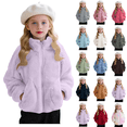 thumbnail image 1 of Diufon Toddler Baby Winter Warm Fleece Jackets Boys Girls Thickened Long Sleeve Stand-up Collar Zip Up Coats with Pockets, 1 of 10