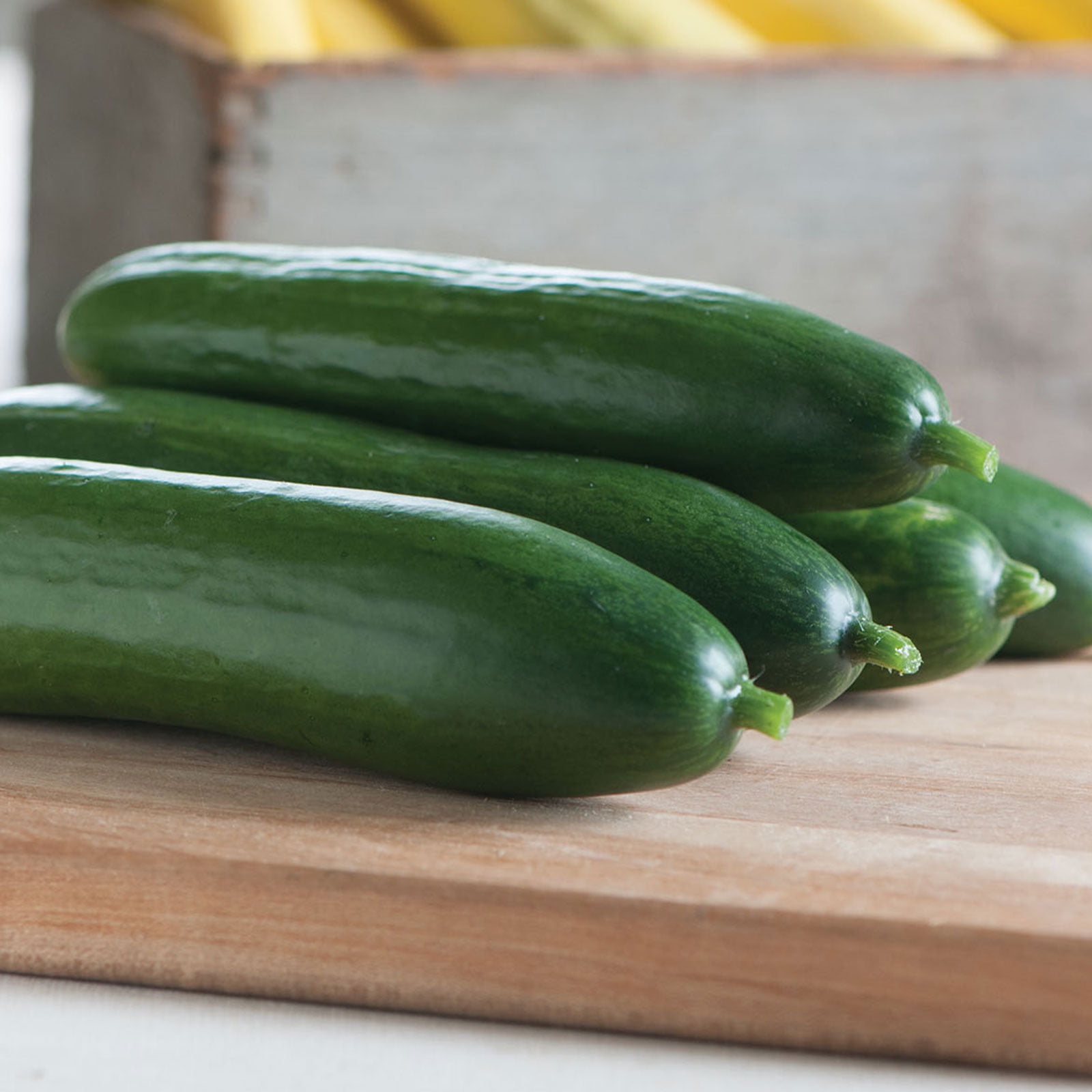 The Swaggy Cucumber Leak: And The Winner Is... - eeei05l