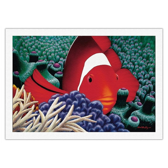 Diva - Hawaiian Tomato Clown Fish in Sea Anemone - From an Original Color Painting by Mark Mackay - Fine Art Rolled Canvas Print (Unframed) 27in x 40in