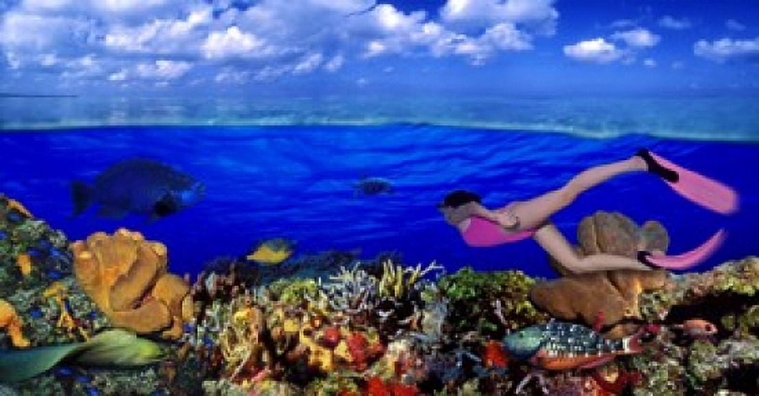 Diver along reef with parrotfish Green Moray Eel and White Spotted Filefish (Cantherhines macrocerus) underwater Canvas Art - Panoramic Images (24 x 12)