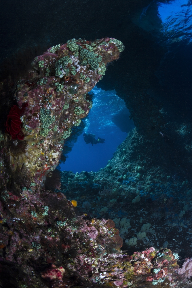 Diver at Boo Windows in Raja Ampat Indonesia Canvas Art - Todd WinnerStocktrek Images (12 x 18)