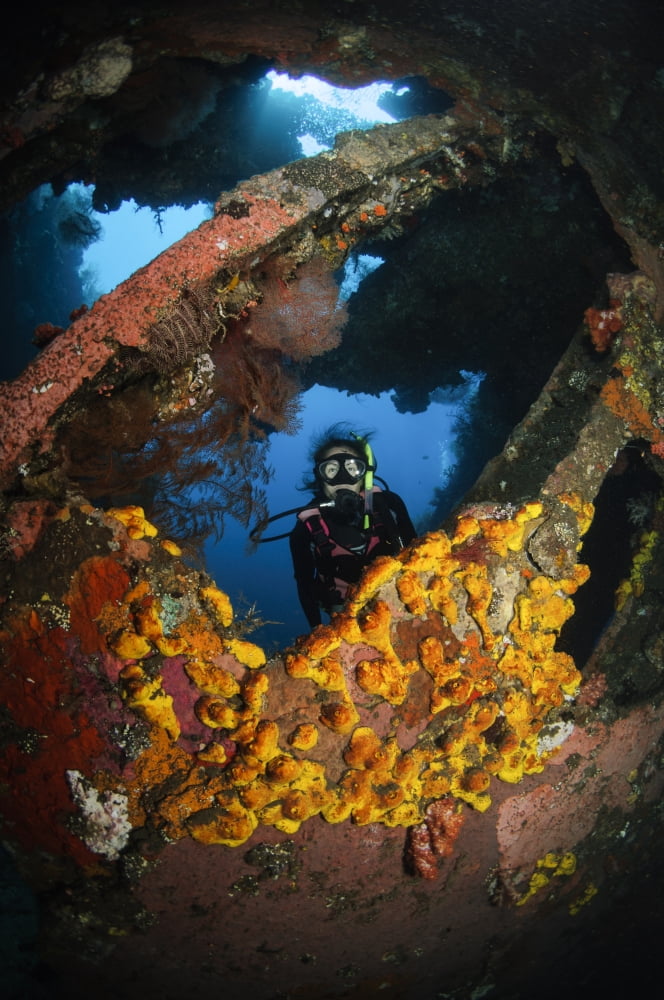 Diver explores the Liberty Wreck Bali Indonesia Canvas Art - Todd WinnerStocktrek Images (12 x 18)