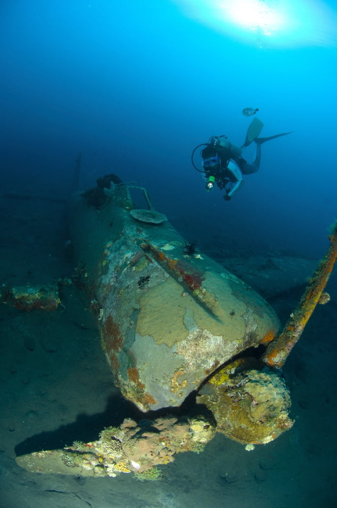 Diver explores the wreck of a Mitsubishi Zero fighter plane Canvas Art - Steve JonesStocktrek Images (12 x 18)