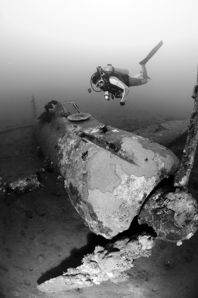 Diver explores the wreck of a Mitsubishi Zero fighter plane Canvas Art - Steve JonesStocktrek Images (23 x 35)