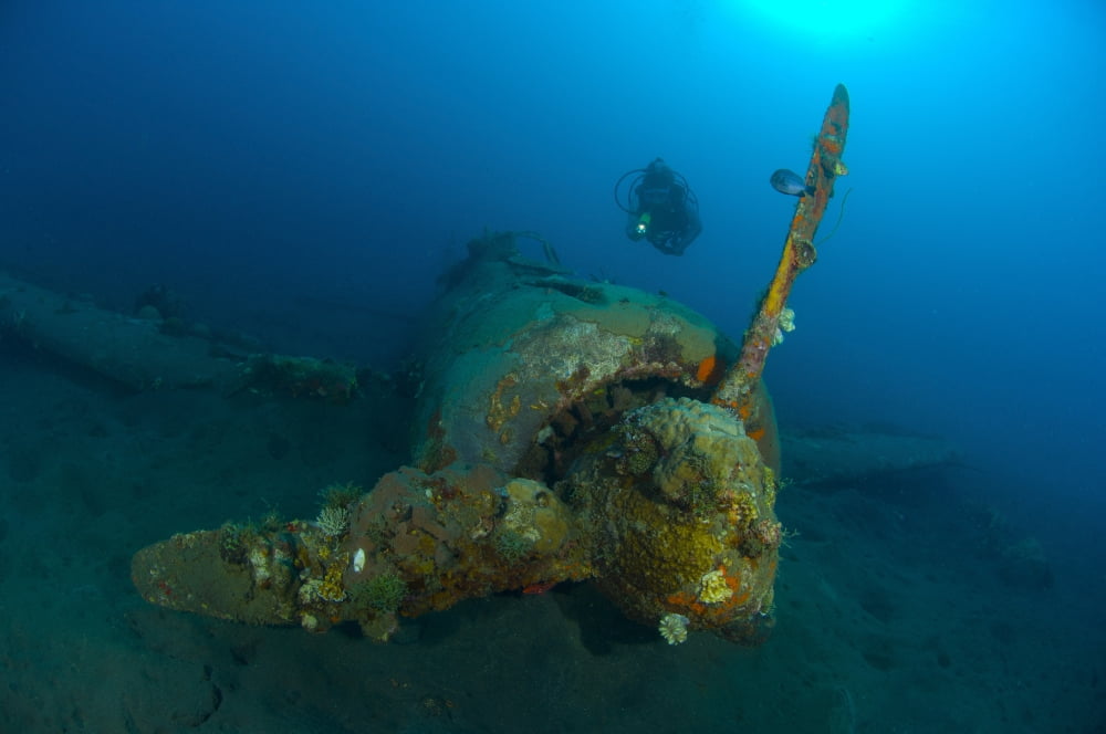 Diver explores the wreck of a Mitsubishi Zero fighter plane Canvas Art - Steve JonesStocktrek Images (35 x 23)