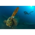 thumbnail image 1 of Diver explores the wreck of a Mitsubishi Zero fighter plane Poster Print, 1 of 2