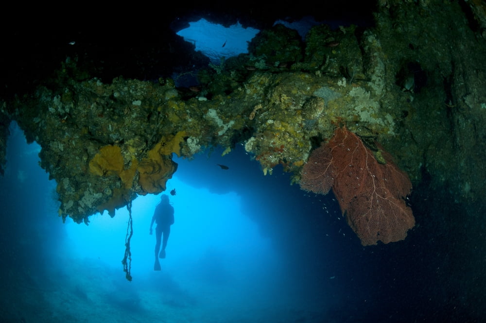 Diver exploring underwater cavern and caves Raja Ampat Indonesia Canvas Art - Steve JonesStocktrek Images (35 x 23)