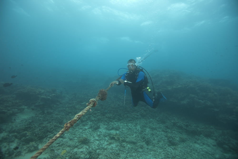Diver holds onto the anchor line at a dive site in Fiji Canvas Art - Terry MooreStocktrek Images (35 x 23)