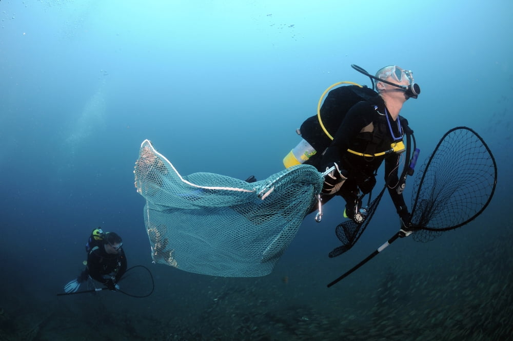 Diver removes invasive Indo-Pacific Lionfish from Atlantic Ocean Canvas Art - Karen DoodyStocktrek Images (35 x 23)