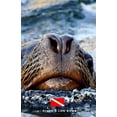 thumbnail image 1 of Diver's Log Book: scuba diving log book 100 dives, (Paperback), 1 of 1