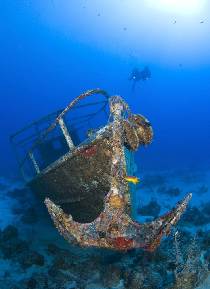 Divers visit the Pelicano shipwreck on the bottom of the Caribbean Sea Canvas Art - Karen DoodyStocktrek Images (24 x 33)