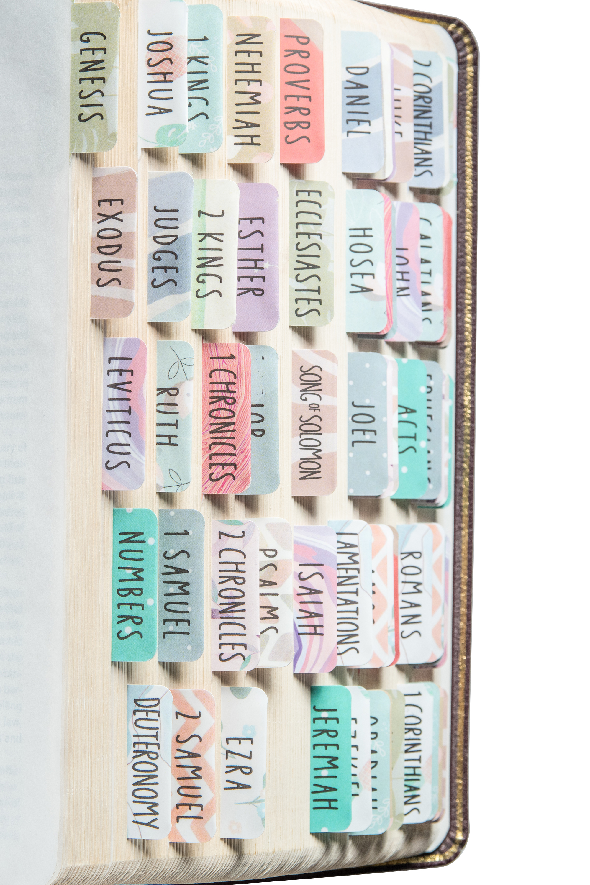 DiverseBee Laminated Bible Tabs (Large Print Easy to Read) Personalized Bible Journaling Tabs 66 Book Tabs and 14 Blank Tabs - Uniform Theme