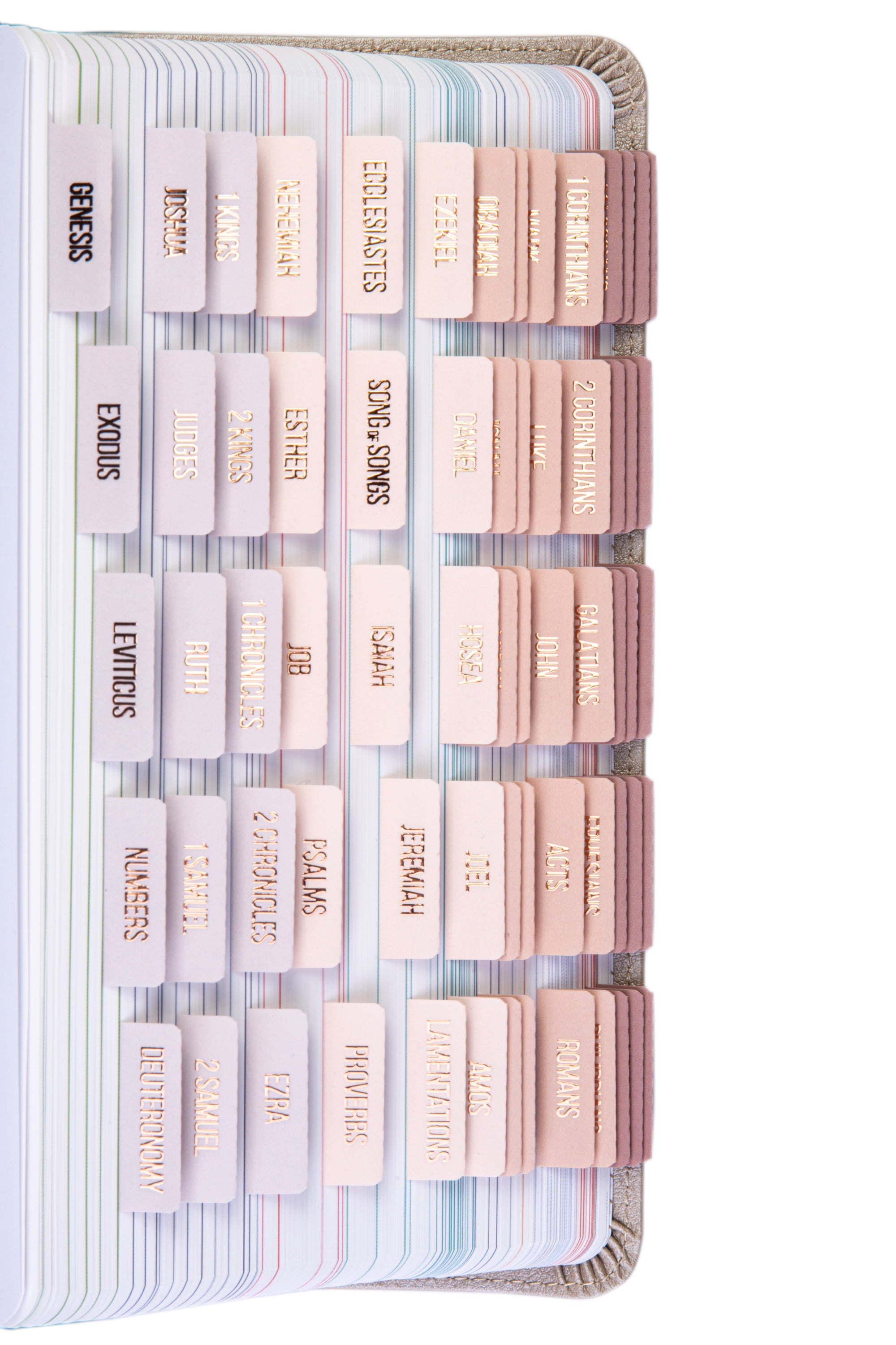 DiverseBee Laminated Index Bible Tabs (Rose Gold Embossed Lettering), Bible Journaling Supplies, 66 Book Tabs and 11 Blank Tabs - Pearl Theme