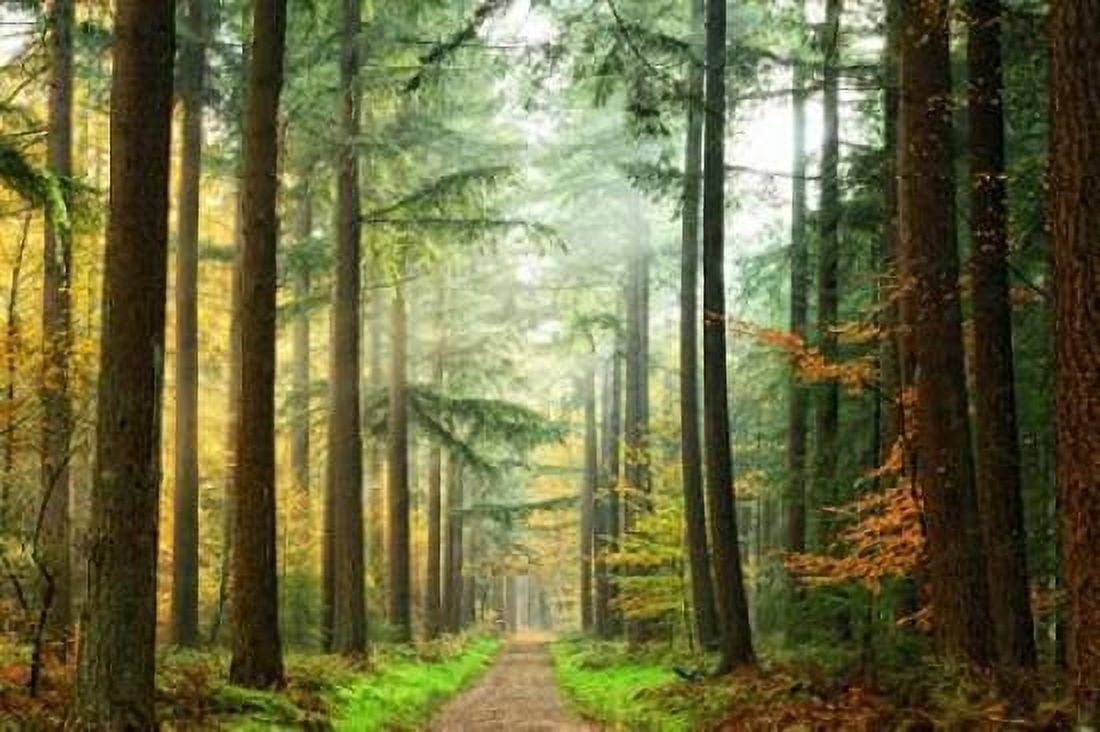 Divide Canvas Art - Lars Van de Goor (12 x 18)