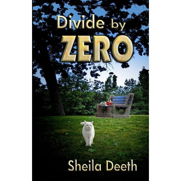 Mathemafiction Divide by Zero, Book 1, (Paperback)