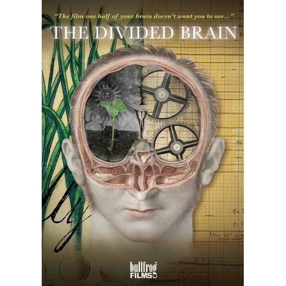 Bullfrog Films - Divided Brain [DIGITAL VIDEO DISC]