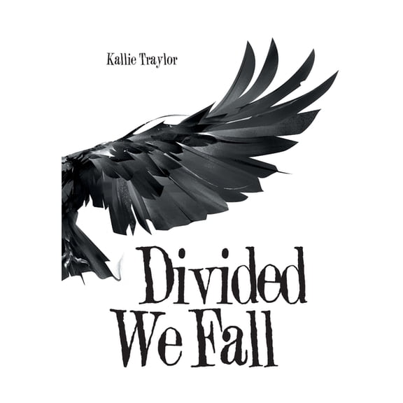 Divided We Fall Hardcover 1796041149 9781796041149 Kallie Traylor
