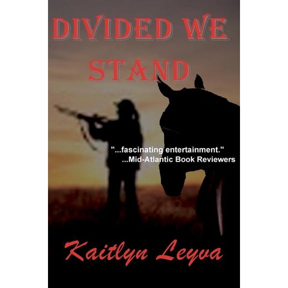 Divided We Stand (Paperback) by Kaitlyn Leyva