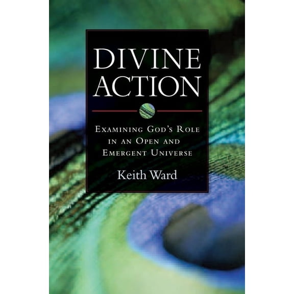 Divine Action : Examining God's Role in an Open and Emergent Universe (Paperback)