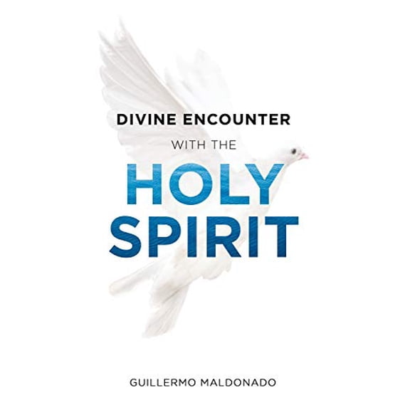 Pre-Owned Divine Encounter with the Holy Spirit (Paperback)