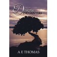 thumbnail image 1 of Divine Encounters (Paperback), 1 of 1