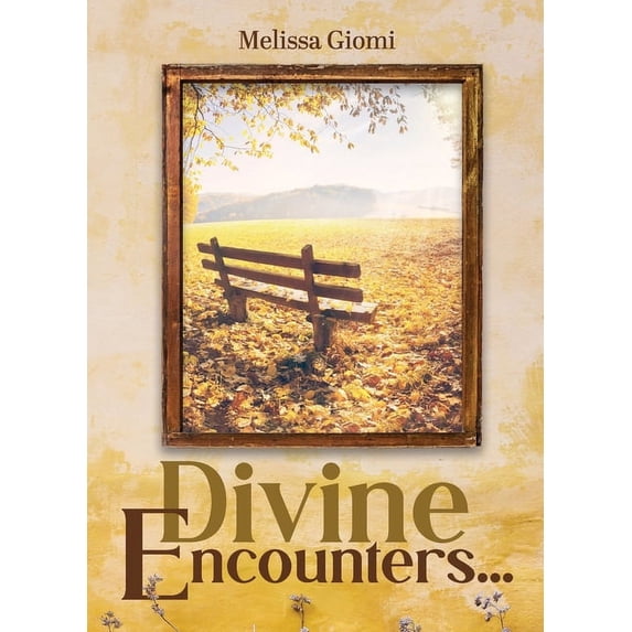 Divine Encounters..., (Paperback)