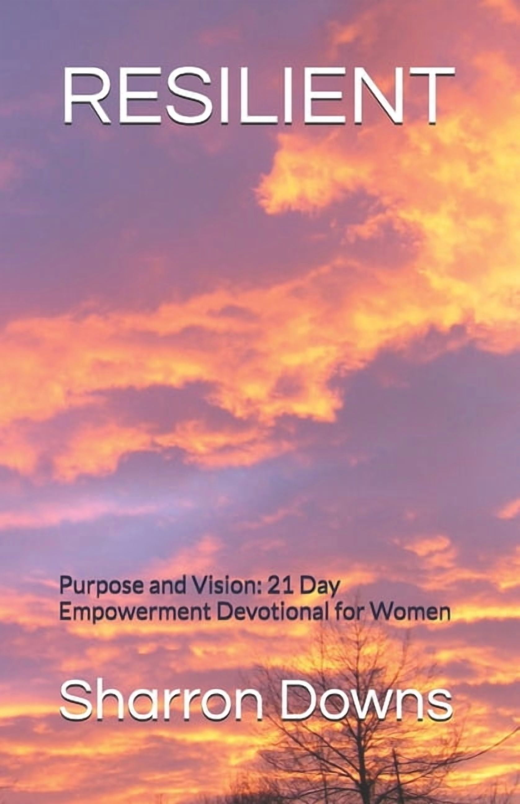 Divine Feminine Strength Resilient: Purpose and Vision: 21 Day Empowerment Devotional for Women, Book 2, (Paperback)