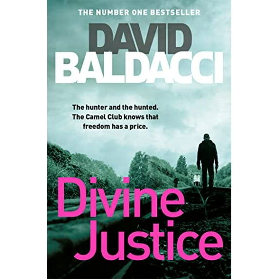 Pre-Owned Divine Justice (Paperback) 1509851003 9781509851003