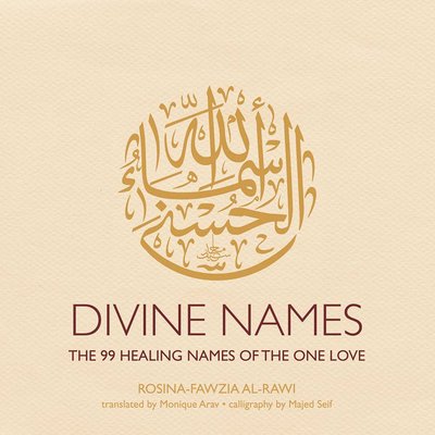 Pre-Owned Divine Names: The 99 Healing Names of the One Love (Paperback) 1566569877 9781566569873