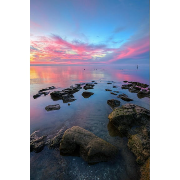 Art.com Divine Sunset Scene at San Pablo Bay Photographic Print, 24" x 36"