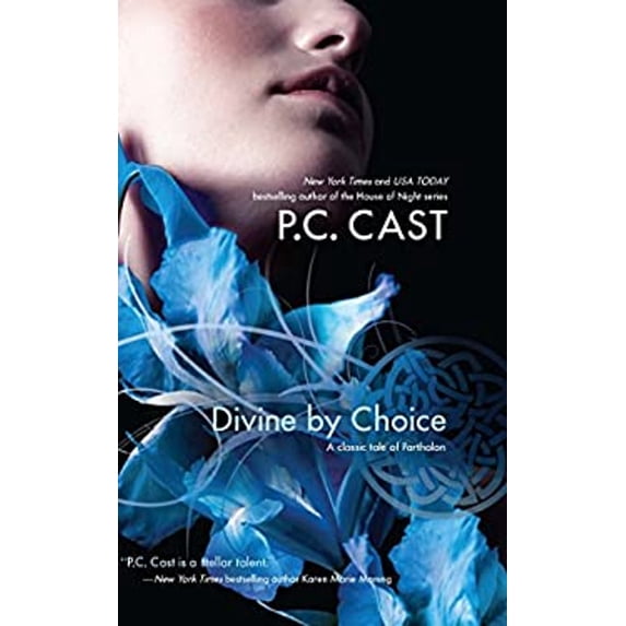 Pre-Owned Divine by Choice (Paperback) 0373803176 9780373803170