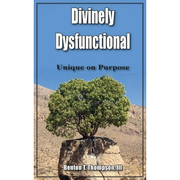 Divinely Dysfunctional: Unique on Purpose, (Paperback)
