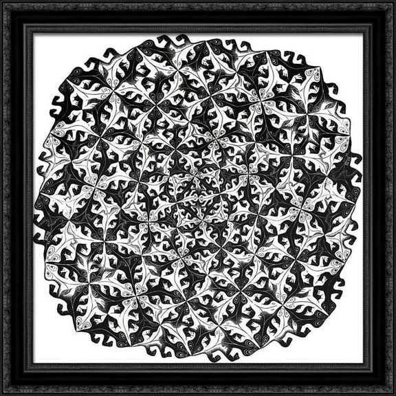 Division 28x28 Large Black Ornate Wood Framed Canvas Art by M.C. Escher