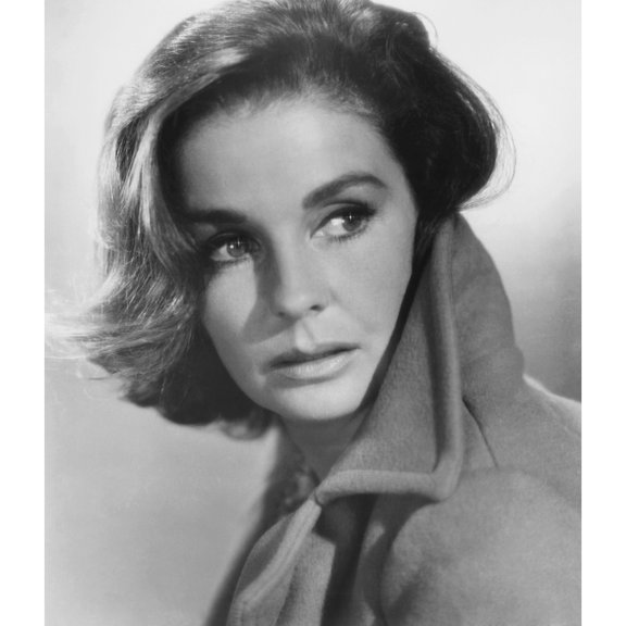 Divorce American Style Portrait (16 x 20)