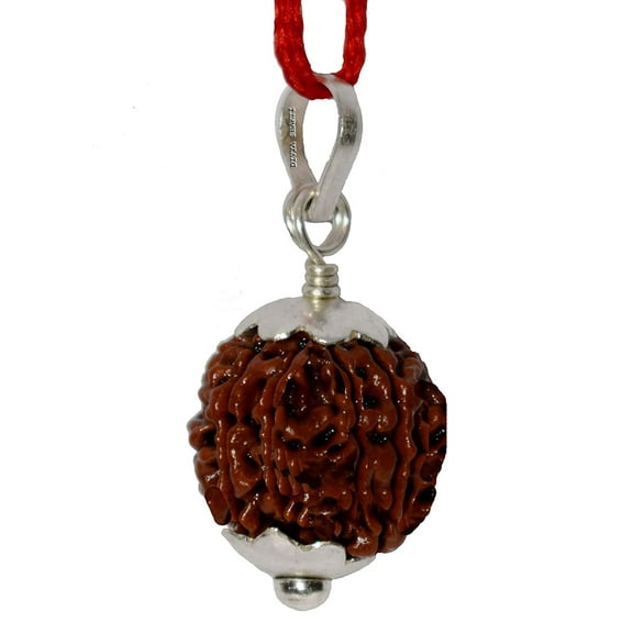Divya Shakti Seven Face / 7 mukhi Nepali Rudraksha Silver Pendant For Men and Women ( 20 M.M )