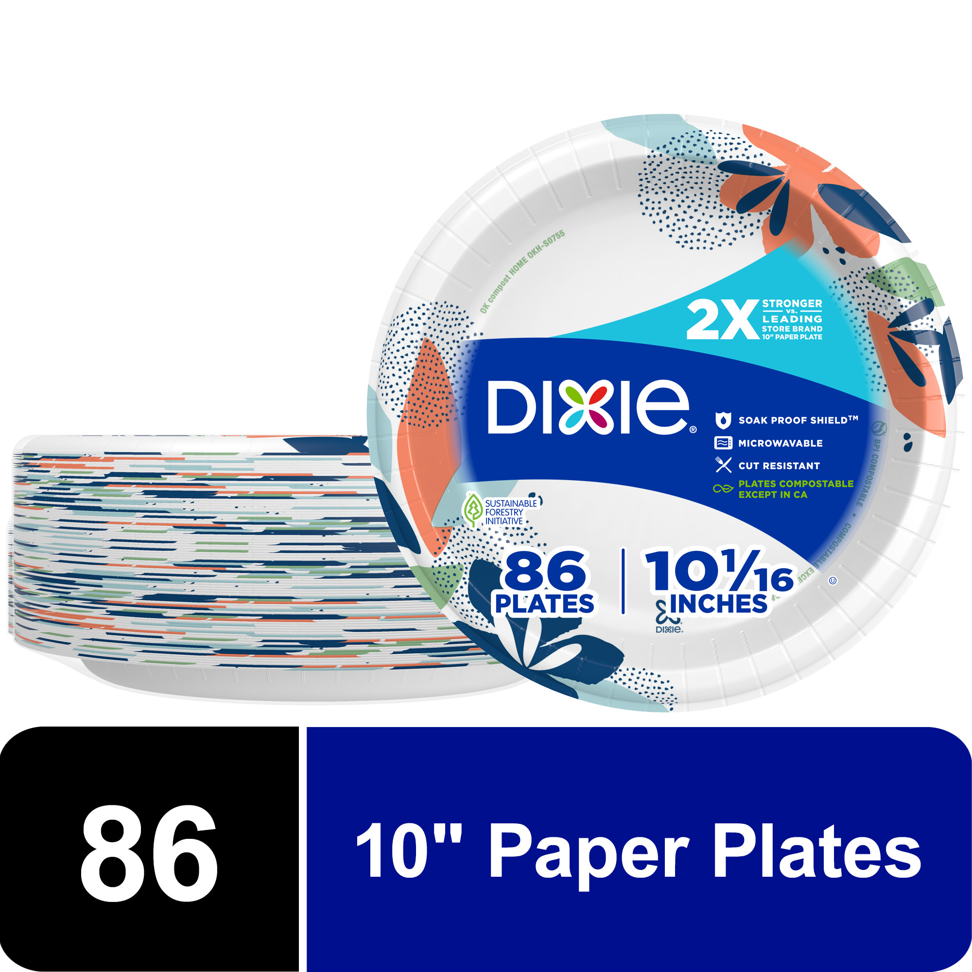 Dixie Everyday 10 1 16 in Plates 86 CT