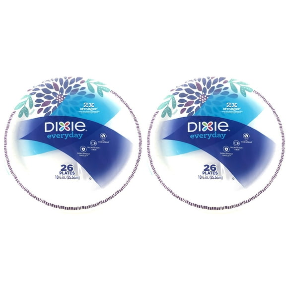 Dixie Plates Heavy Duty 10 1/16 inch (Pack of 2)