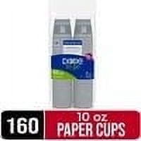 Dixie To Go Hot Cups, 160 Count, 10 Ounce