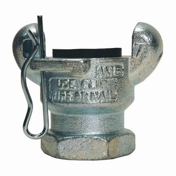 Dixon Air King FNPT End,3/4" GAM8