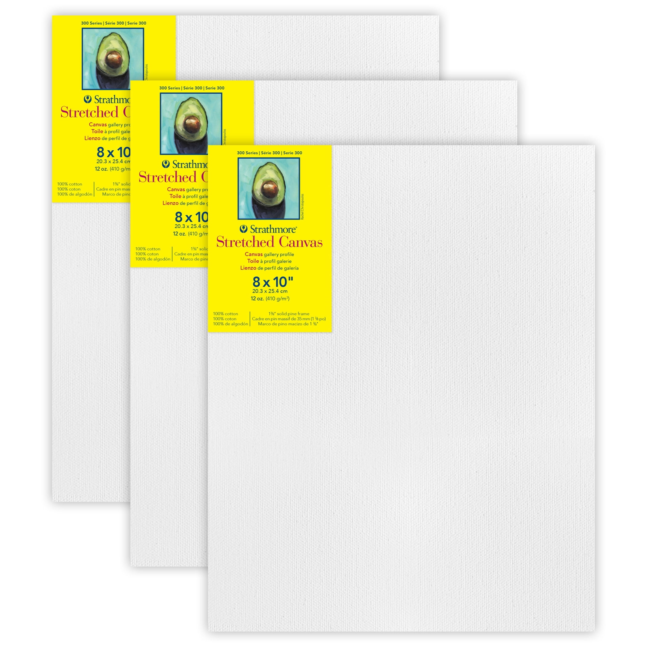 Strathmore 300 Series Gallery Stretched Canvas, 8x10 inch, 3 Count
