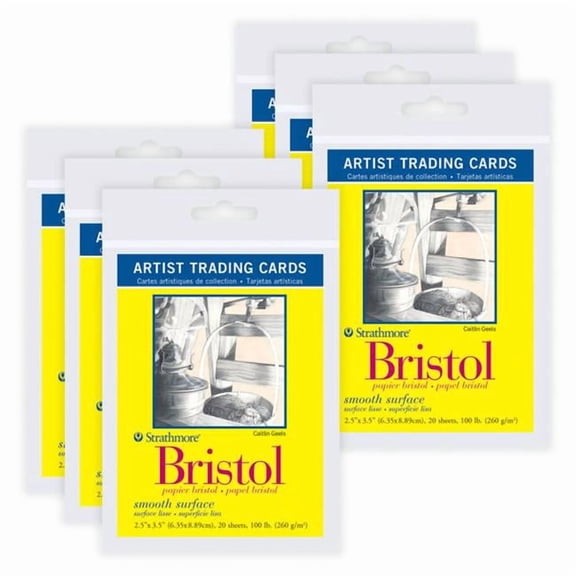 Dixon Fine Art STTP105901-6 2.5 x 3.5 in. 300 Series Artist Trading Cards Bristol Paper Pack, Smooth Finish, 20 Sheet - Pack of 6