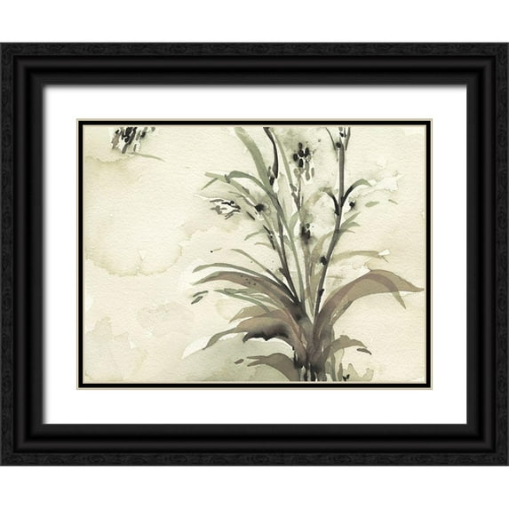 Dixon, Samuel 14x12 Black Ornate Wood Framed with Double Matting Museum Art Print Titled - Plant of the Age I