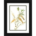 thumbnail image 1 of Dixon, Samuel 23x32 Black Ornate Wood Framed with Double Matting Museum Art Print Titled - Stems I, 1 of 4