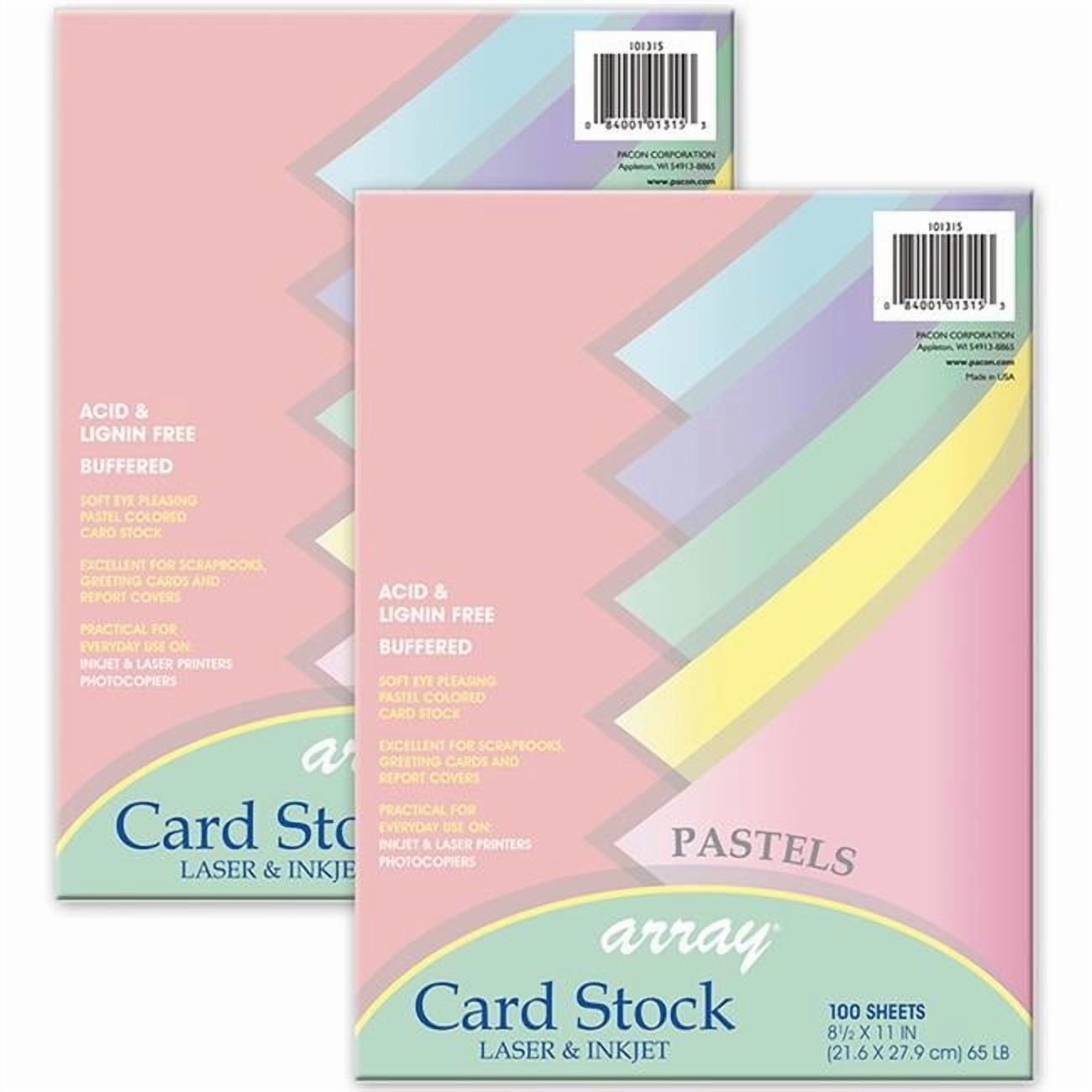 Dixon Ticonderoga PAC101315-2 Array Pastel Liter Card Stock, Assorted Color - 100 Sheet - Pack of 2