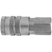 Dixon Valve 1/4in. Npt Female