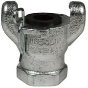 Dixon Valve And Coupling 2-Lug Female 3/4 In. Npt End