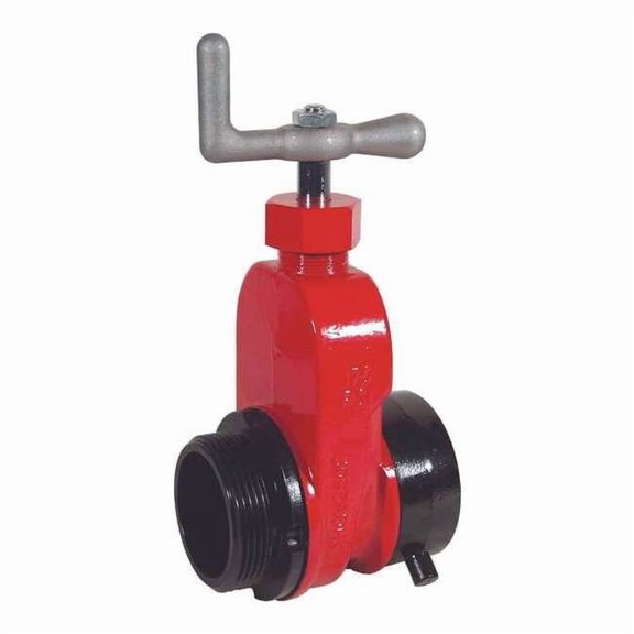 Dixon Valve & Coupling Gate Valve,Single,2-1/2 In NST AHGV250F-I
