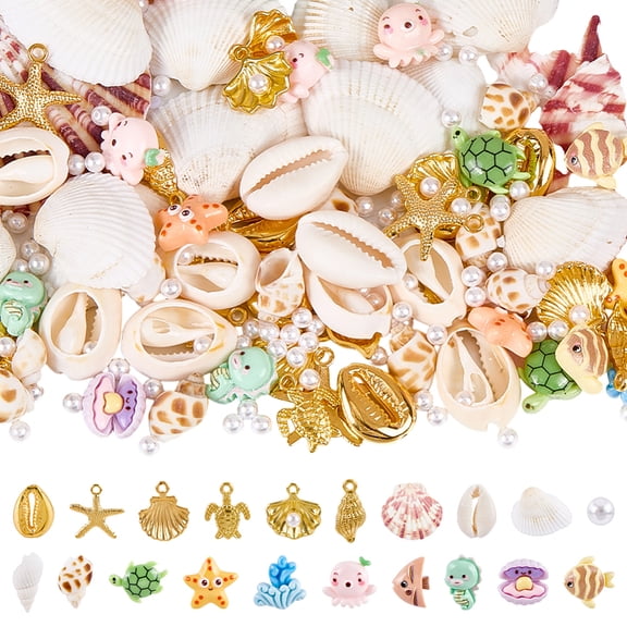 Diy Making Finding Kits Including 50G Clam Shell Beads 6Pcs Natural Shell 2 Bags Conch Shell Beads 10Pcs CCB Plastic Beads