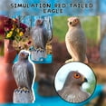 Djadtgl LifeLike Garden Bird Prey Extra Of Lifesize Hanging Realistic